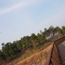 서울탑체육관 네이버블로그