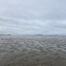 몽산포 휴림 이미지