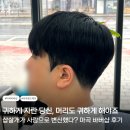 브라더헤어 | 마곡 바버샵 맨즈헤어 웨이크코어, 삽살개를 아이돌로 변신시킨 후기
