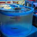 바다활어 | 삼척회포장 중앙시장 가성비 좋은 바다회활어 후기