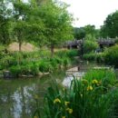 도심공원 이미지