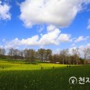 꽃길따라농장 이미지