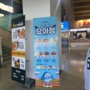 배달떡볶이 | 2026 잠실야구장먹거리 총정리 ㅣ 이가네떡볶이 좌석 배달 후기까지