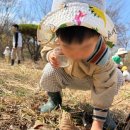 다숲어린이집 - 수원시 권선구 | 다숲어린이집