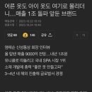 탑텐이 드디어 유니클로를 이겼다 이미지