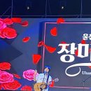 🌹울산 장미축제 로즈밸리콘서트🌹👍(ft.윤딴딴,은종)😍 이미지