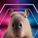 이지훈동물병원 | 🦫 카피바라를 키우면 벌어지는 일들