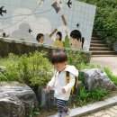 금모래어린이집 이미지