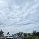 바람개비 | 수원 국립농업박물관 백중날 행사 후기, 어린이 박물관은 휴관