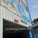 대전아쿠아리움 | [국내 여행/대전] 대전아쿠아리움 방문 후기