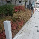 현수막 게시대 설치-1