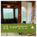 미라벨 펜션 | [강릉] 미라벨펜션 후기(포레스트뷰) 복층감성숙소/사근진해변근처/수영장/바베큐