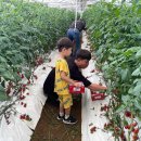 부여서울 이미지