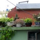 옥상카페 이미지