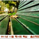 ★ 11월 제14회 뚝심-울산정모 공지 ★ (11월7일(월) 19:00) 이미지