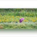 장성공원3 이미지