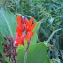 하늘내린황토민박 이미지