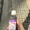 뫼비우스 체육관 | 방학의 일상