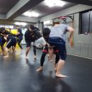 복싱 MMA 주짓수 마이티짐 이미지