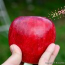 덕고개농장 이미지