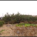 용인시원암보건진료소 이미지