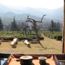 혜성민박 이미지