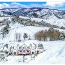 풍차랑 허브랑 이미지