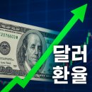 조은석 | [공지] 그들의 야욕이 환율을 망친다