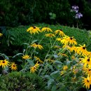 길소아청소년과의원 이미지