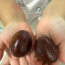 세용농장 이미지