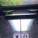 우리트윈스빌딩 이미지