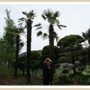 분남농장 이미지