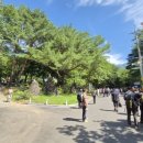 항골계곡 이미지