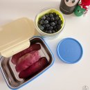 리빙사 | 컬러스텐용기 리빙크리에이터 지켜텐 사용 후기