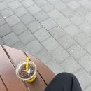 먹어도 너무 먹는다.