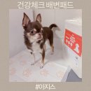 강아지 배변패드로 반려견 건강체크 아지스
