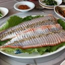 운암5호 이미지