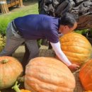 함줄공원 이미지