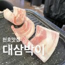 대삼박이 이미지