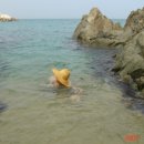 별맞이민박 이미지