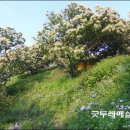 밤산농원 이미지