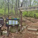 초부리유아숲체험원 이미지