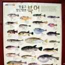 시원한부산칼국수 Daum카페