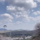 마론뉴데이CC 티스토리