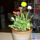 백중약국 이미지