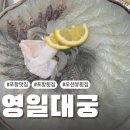 영일궁 | 포항맛집 영일대 바다 보며 회 한 점! 포항 #영일대궁 내돈내산 후기