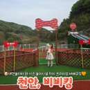 추억의오후3시소주카페 | 천안애견동반바베큐장 비비킹 애견동반식당 강아지놀이터