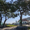 골왓마을방사탑 3호 이미지