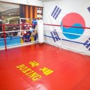 국제복싱클럽 이미지