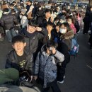 호랑이태권도장 | 안양시 태권도명문 호원태권도 에버랜드 눈썰매체험